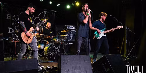 HotD @ Molly's Chambers Birkenhead