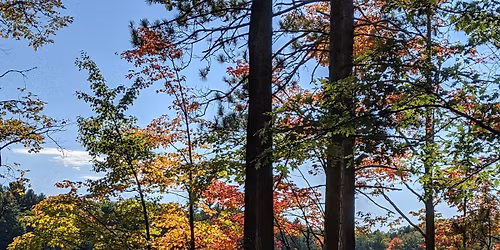 Author Visit at Rochester Writers and Books 