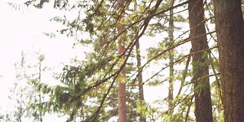 Scorpio New Moon Ceremony