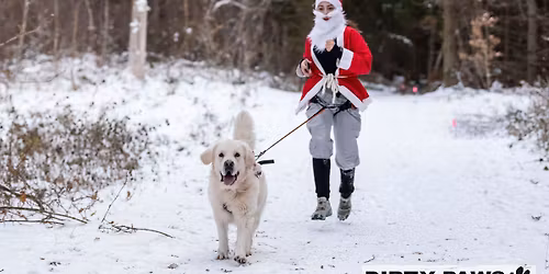 X-mas i kalenderen. Juledysten hos Team Nordsj\u00e6lland