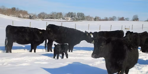 2025 Mountains-to-Bay Grazing Alliance Grazing Conference