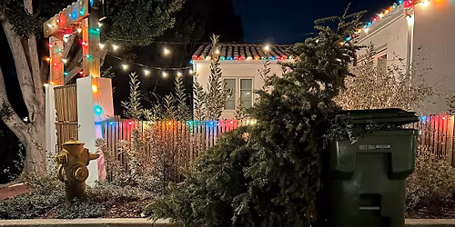 The Day After Christmas- Photo Show