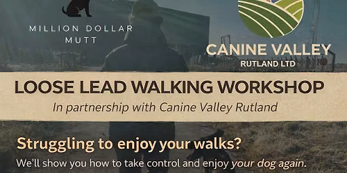 Loose lead walking Workshop 