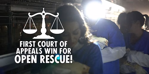 Meetup: First Court of Appeals Win for Open Rescue
