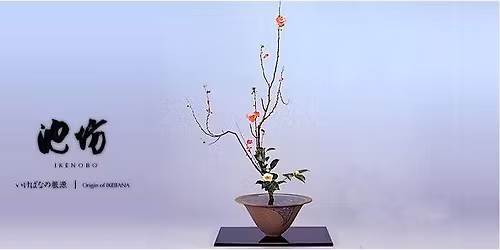 Invitation to Ikenobo Ikebana - Continuing Classes in Boulder CO (Dec)