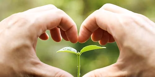 ZAUFANIE DO SIEBIE I SI\u0141A INTENCJI - WARSZTAT TERAPEUTYCZNO - ROZWOJOWY W BORNEM SULINOWIE