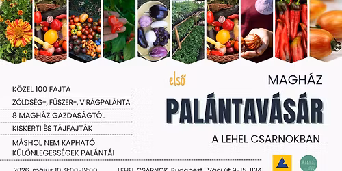 MAGH\u00c1Z PAL\u00c1NTAV\u00c1S\u00c1R \ud83c\udf31\ud83c\udf31\ud83c\udf31 A LEHEL CSARNOKBAN