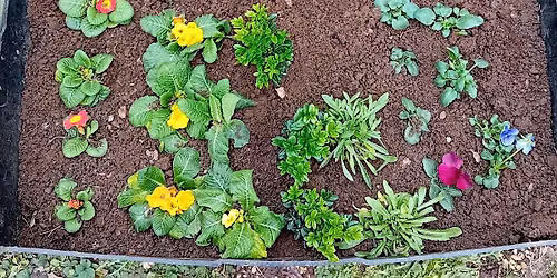 Family Growing, Nature Craft Homeschool Sessions