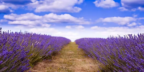 Self-Care as a Leadership Imperative: Leading from a Place of Wholeness