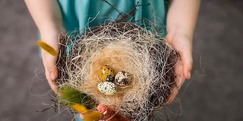 Pop-Up Science: WHICH NEST IS BEST?