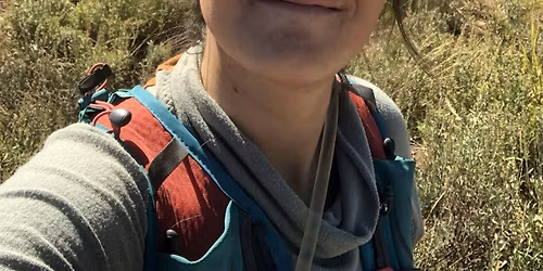 All About Bees (Not Honey) and Fireflies