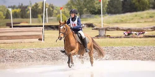 Derby At The Big Sky Horse Park