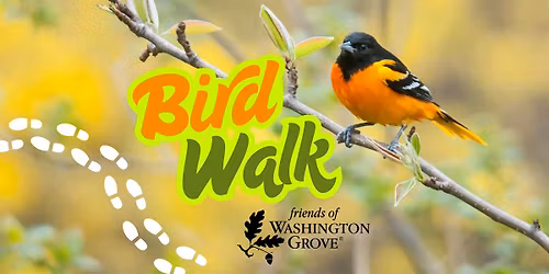 Spring Bird Walk in the Grove