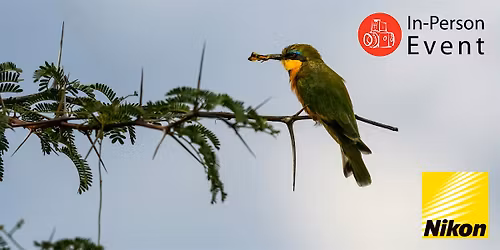 Wildlife & Birding Photography: Inspiration, Tricks &\u00a0Tips with Nikon