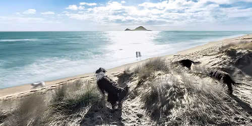 Whakatane Dog Lovers - Group Walk at Thornton Beach