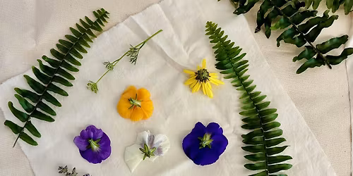 MAAM Outdoors: Foraging with Friends Workshop