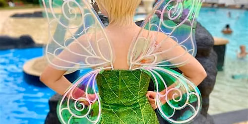 Pixie Hollow Flitterific Fairy Party