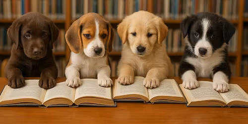 Meet & Greet Adoption Event at Oak Creek Library