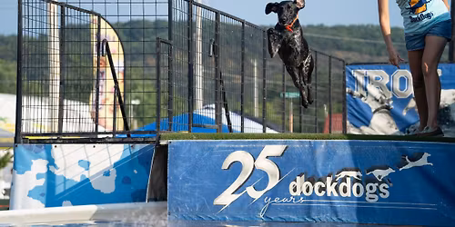 BBQ & Brews Music Festival with Keystone DockDogs\u00ae