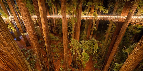 Last Night of Zoo Lights at Sequoia Park Zoo