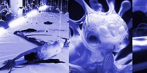 CHRYSALIS. ARTISTS IN LABS
