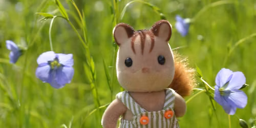Flax Sowing Open Day