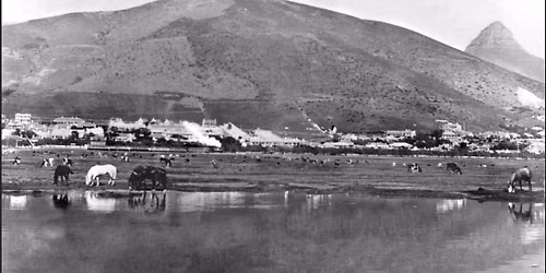 Yacht Rocks - A Heritage Walking Tour through Green Point