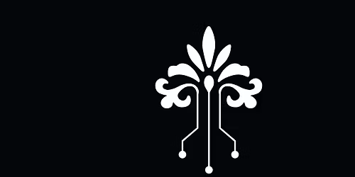 Beats Antique in Washington