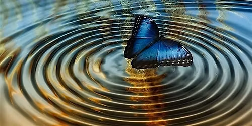 Tarot Transformations: Catalyzing Change