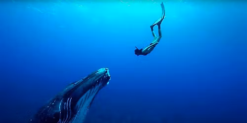 Special viewing party, "Mere Ocean" with Michelle