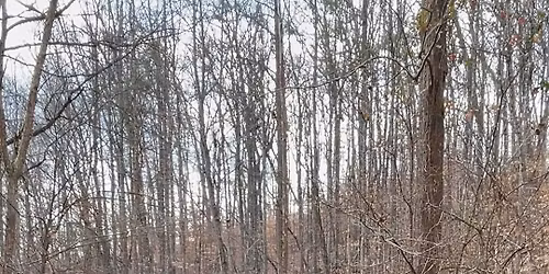 DISCOVER PRICE PARK AT DUSK (FAMILY-FRIENDLY HIKE)