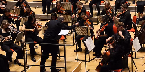 Meet the Orchestra - live! Secondary age Home Ed Session