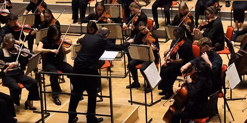 Meet the Orchestra - live! Secondary age Home Ed Session
