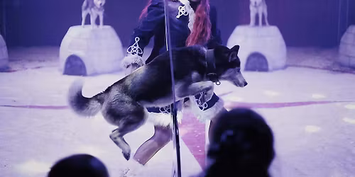 Winterval Christmas Circus