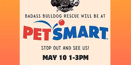 Bulldogs at PetSmart