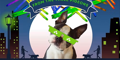 25.11.25 Glow Stick Night Group Dog Walk from The 3 Pigeons