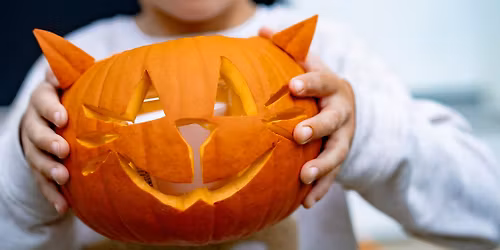Halloween Fun at Cats Protection