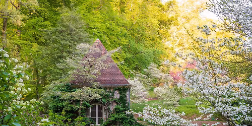 Garden & Estate Insider: A Spring Garden Walk