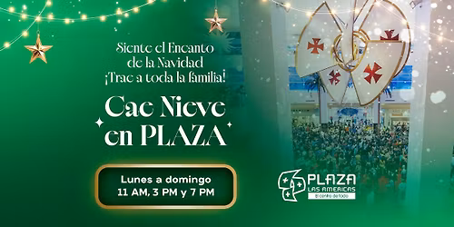 Cae Nieve en PLAZA