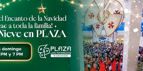 Cae Nieve en PLAZA