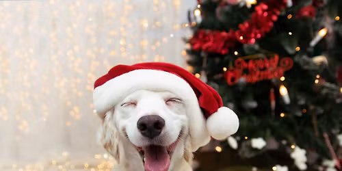 Bark and Brews with Santa (Thursday)