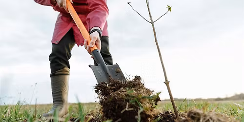 Helston Downs Tree Planting
