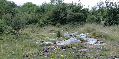 Conservation day at Hutton Roof Crags Nature Reserve
