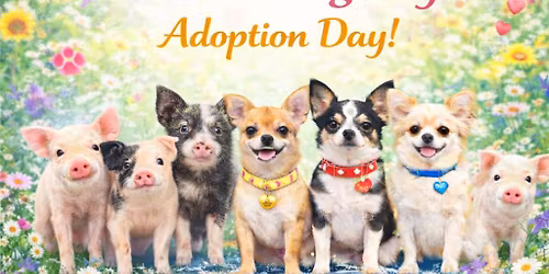 \ud83d\udc95 \u201cNot Pigs \u2014 Just Sweet Little Pups!\u201d Adoption Day