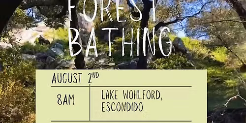 Forest Bathing