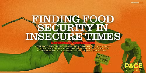 Finding Food Security in Insecure Times:  A Roundtable Conversation