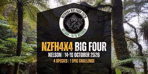 BIG FOUR - NELSON Powered by PULSAR
