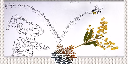 Nature Journaling \u2744\ufe0fCreative Workshops\u2744\ufe0f