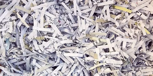 Document SHRED Day