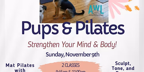 Pups and Pilates
